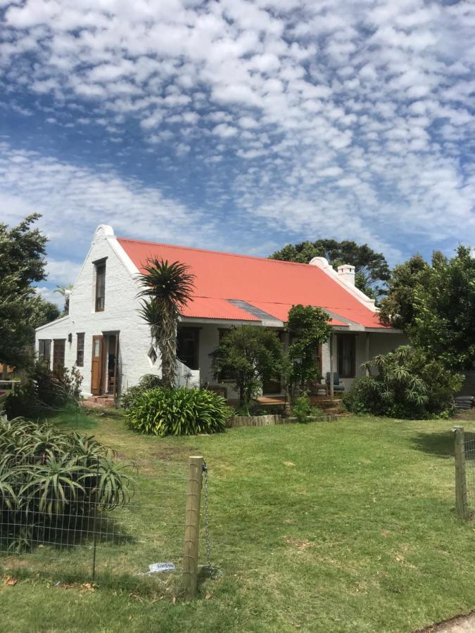 Hermanus Whale Cottage Exterior foto